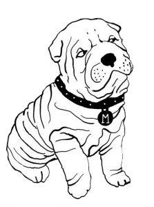 BOULEDOGUE-marinhoparis-mademoisellecaroline-min bouledogue marinho